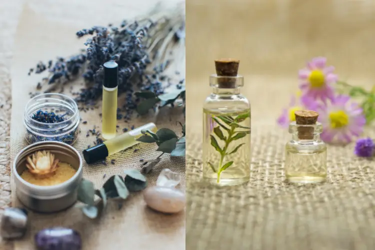 Essential Oils to Enhance Wellness