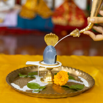 Pathatmak Laghu Rudra Puja