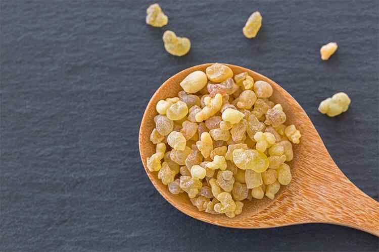 Boswellia