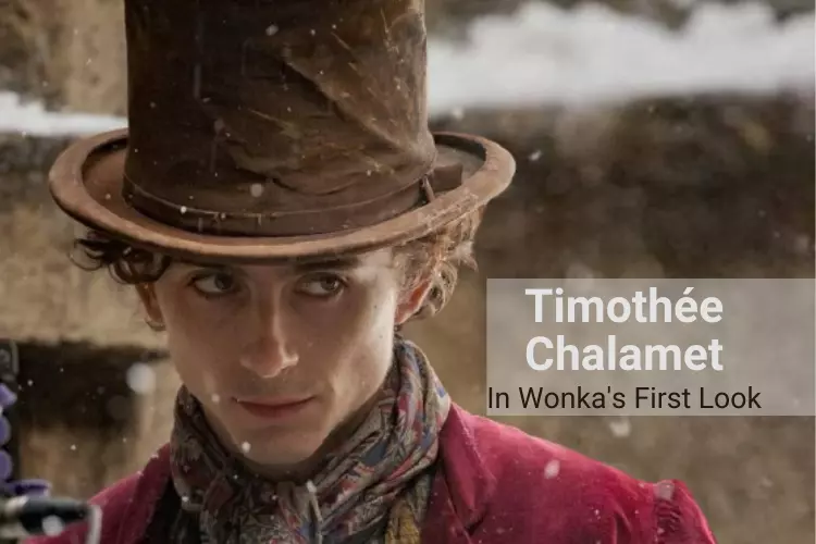 Timothée Chalamet Giving Us a Glimpse of Wonka’s First Look
