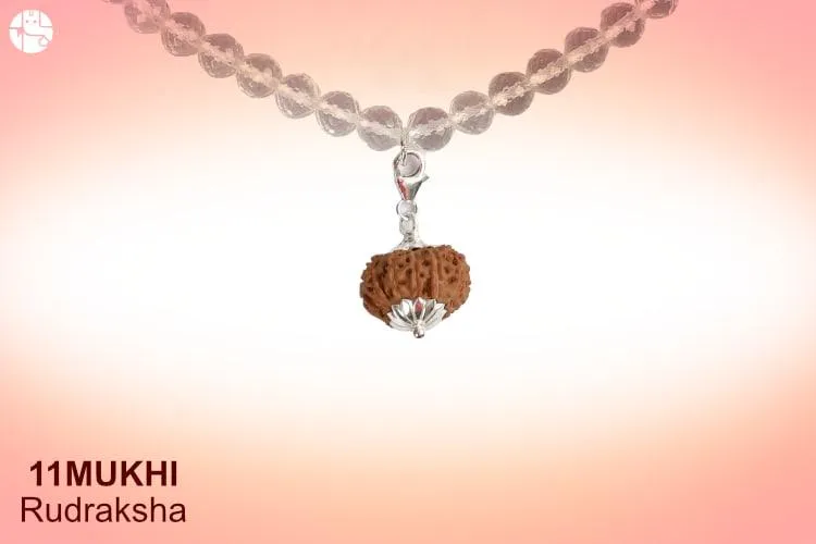 11 Mukhi Rudraksha Benefits: Blessing of Lord Rudra