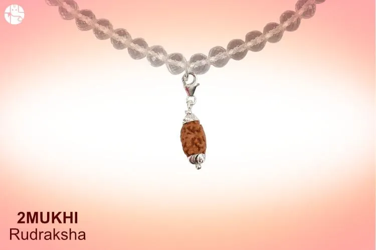 Two Mukhi Rudraksha – Union of Shiva and Shakti