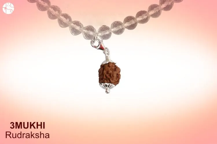 3 Mukhi Rudraksha – Three forms of Agni