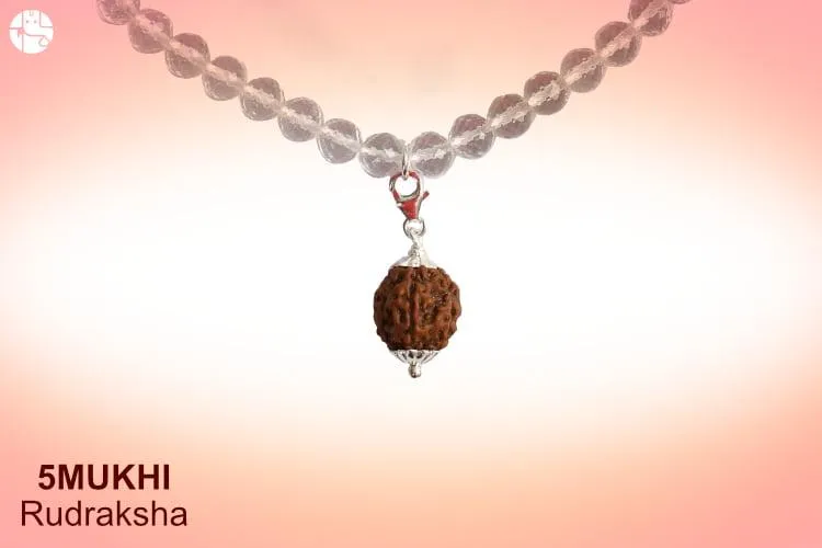 What Is PanchMukhi Rudraksha And Why To Wear It?