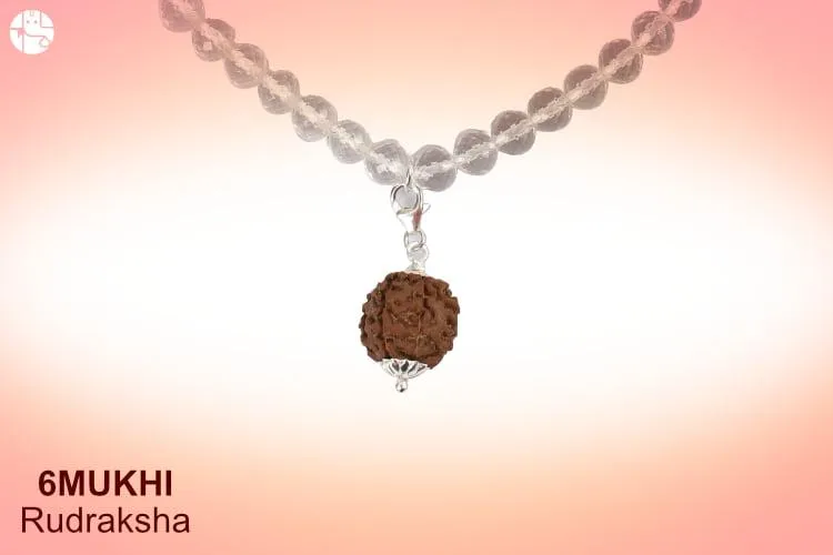 Know How Wearing 6 Mukhi Rudraksha Can Bring Prosperity!