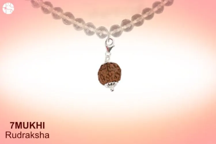 How 7 Mukhi Rudraksha brings prosperity?