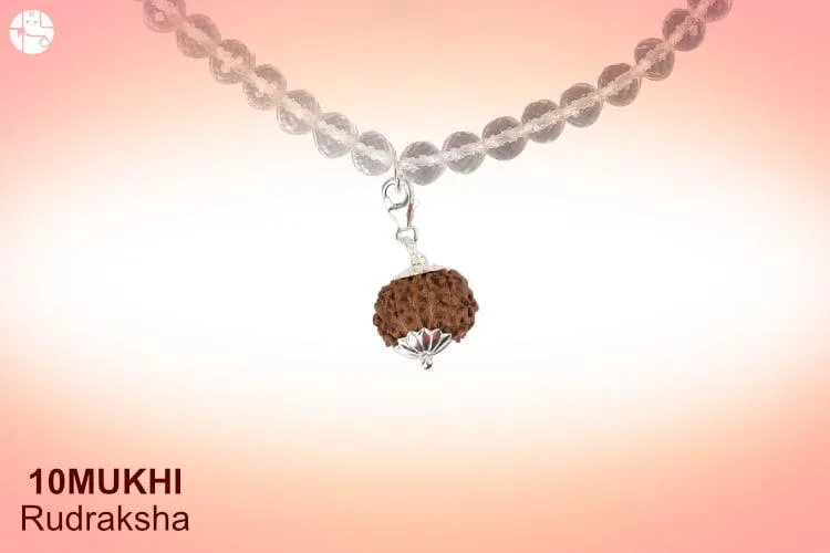 10 Mukhi Rudraksha Benefits: Best for Dosha Nivaran