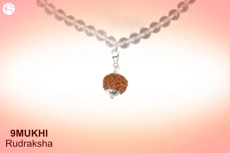 Nine mukhi rudraksha: Benefits, Effects and Importance