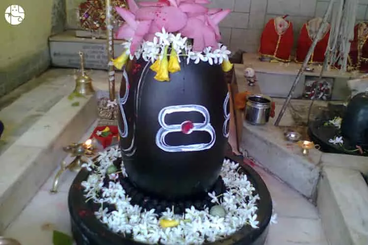 Avoidable Things While Worshiping Shivlinga