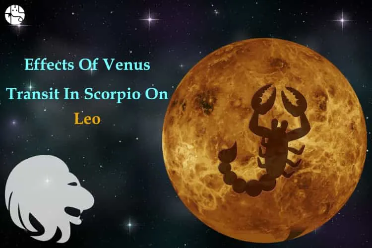 Effects of the Venus transit in Scorpio on Leo Individuals