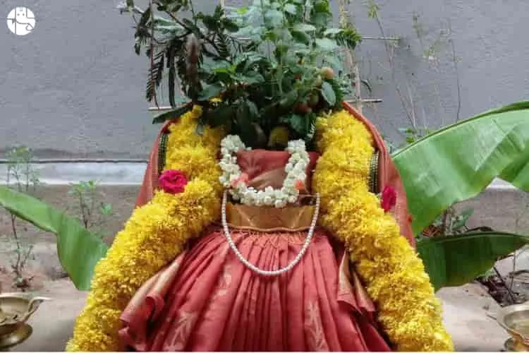 Importance and Benefits of Tulsi in Puja Vidhi and Tulsi Vivah