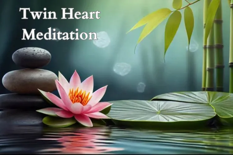 Twin Heart Meditation Meaning