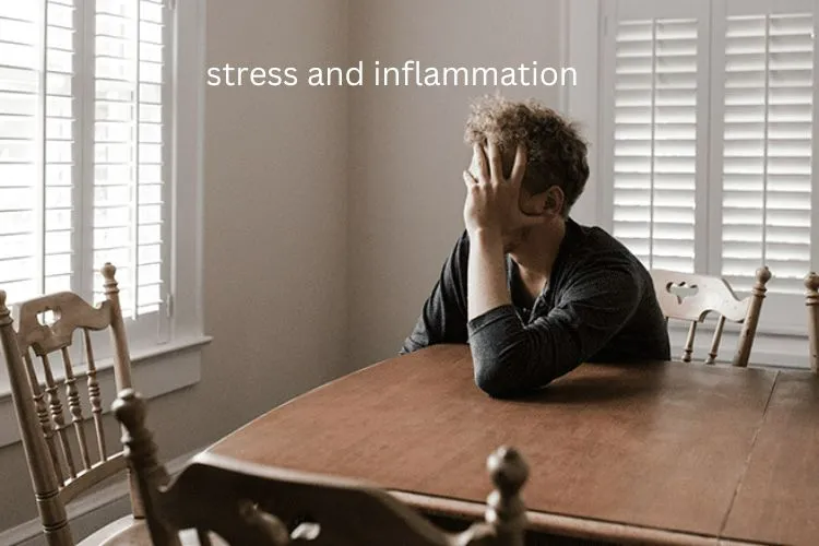 Connection Between Stress and Inflammation