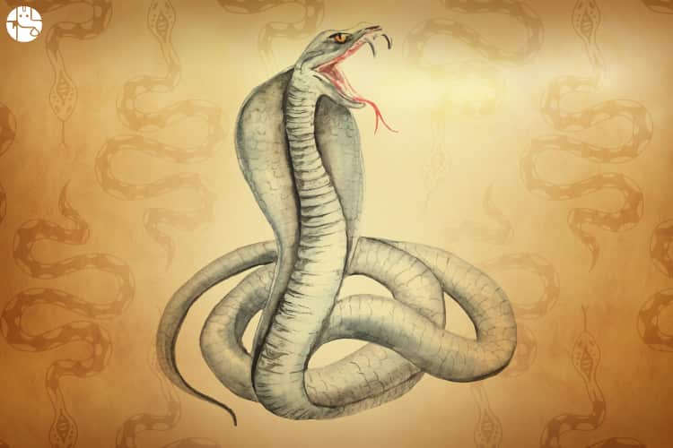 download free dreaming of snakes