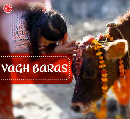 Govatsa Dwadashi 2021 - Date History Significance Rituals And Celebration
