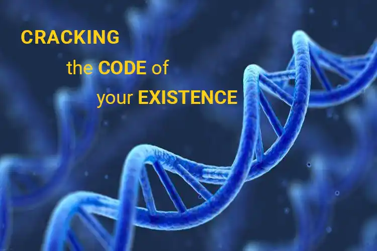 Cracking the Code of Your Existence: A Detailed Life Report Explained