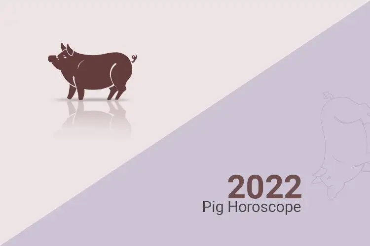 Pig Zodiac Horoscope for 2023 Pig 2023 Horoscope Predictions