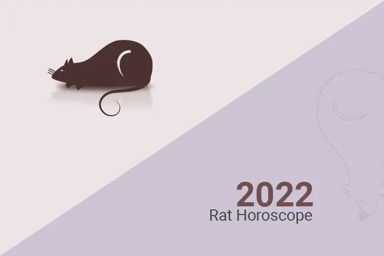 year-of-the-rat-2023-chinese-horoscope-predictions-insights