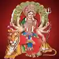 Durga Saptasati Puja