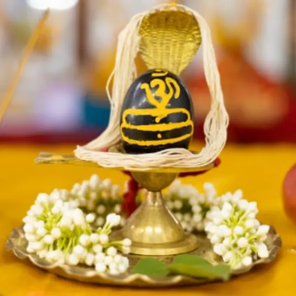 Pathatmak Shiva Puja with Mahatrituyujaya Mantra