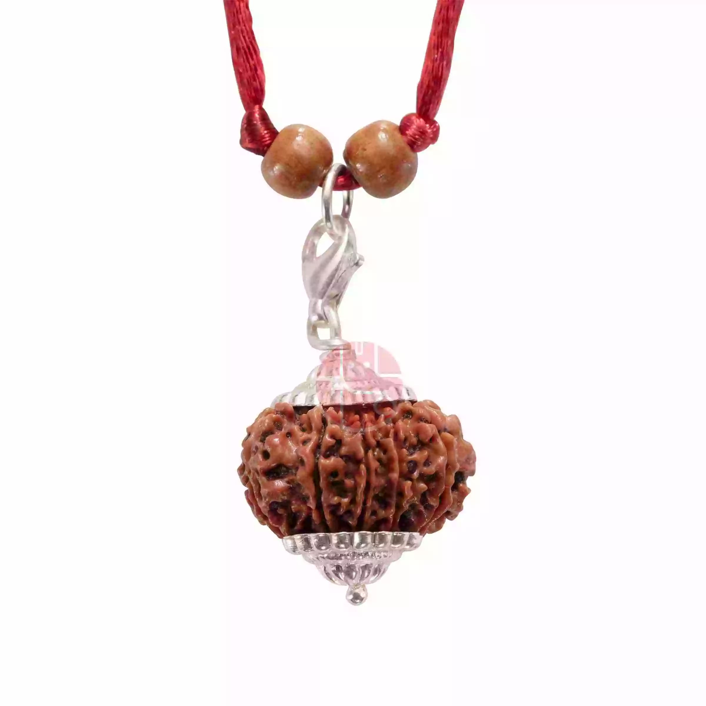 11 Mukhi Rudraksha Indonesian Bead