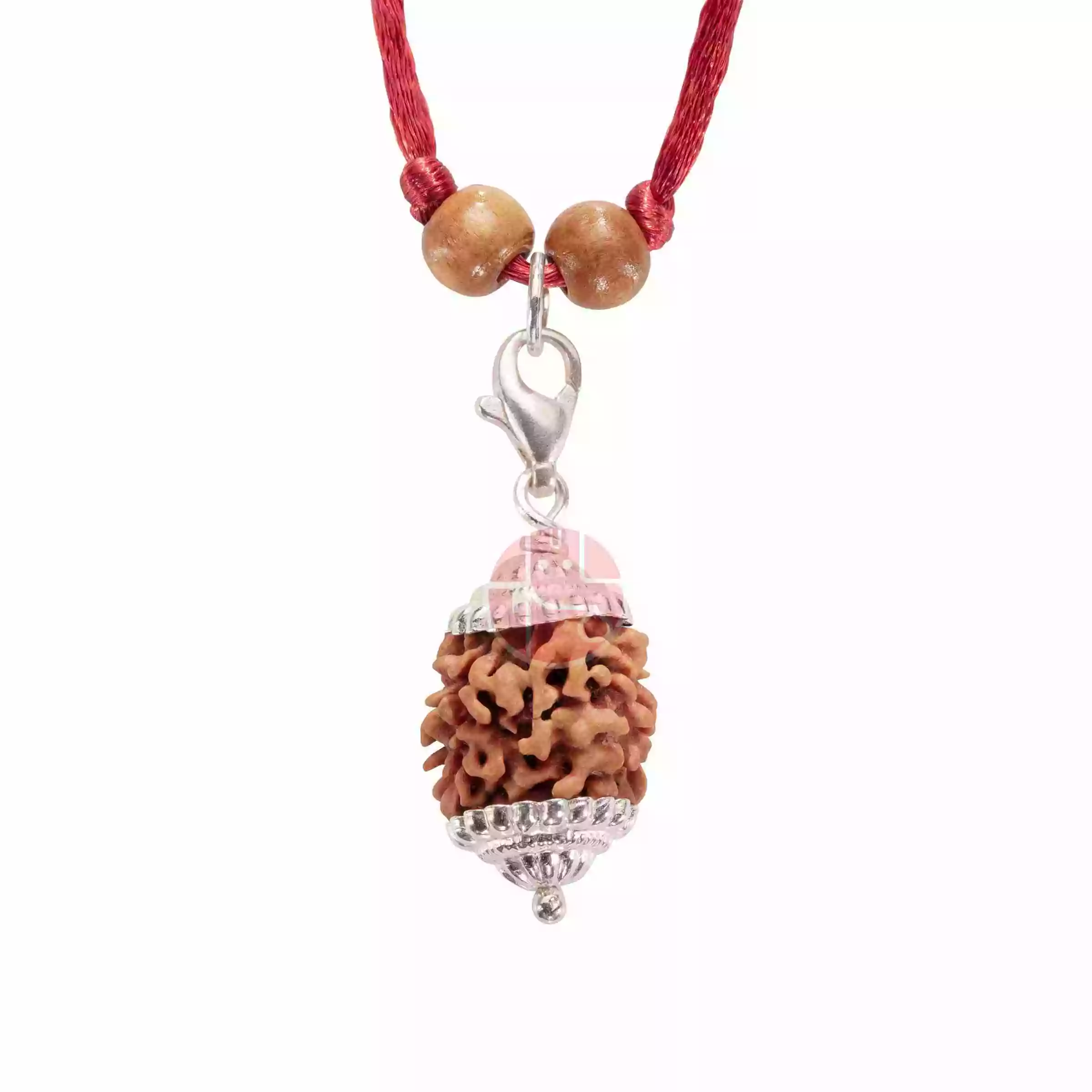 2 Mukhi Rudraksha Nepali Bead