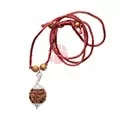 4 Mukhi Rudraksha Nepali Bead