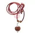 6 Mukhi Rudraksha Indonesian Bead