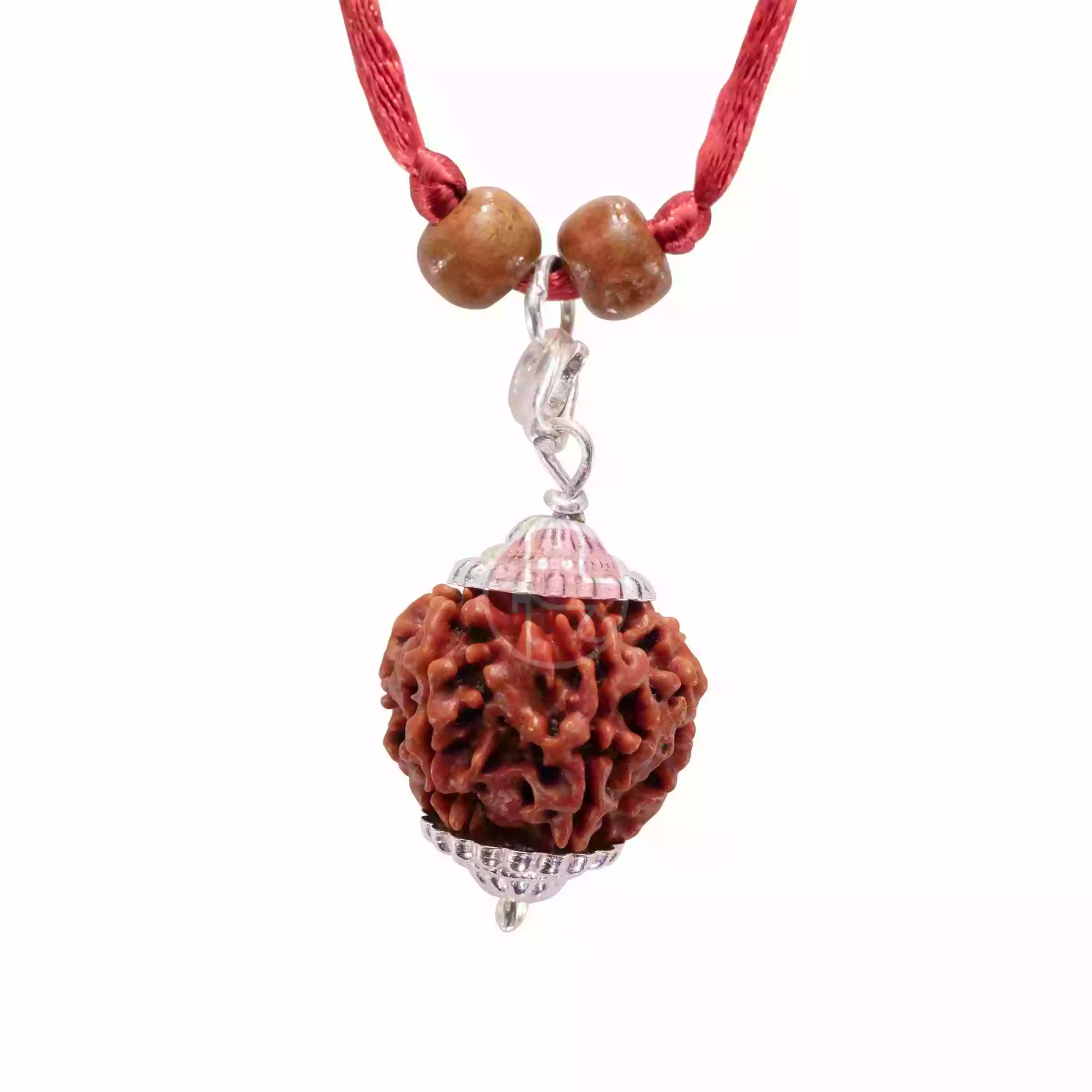 6 Mukhi Rudraksha Nepali Bead