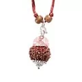 7 Mukhi Rudraksha Nepali Bead