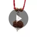 9 Mukhi Rudraksha Nepali Bead