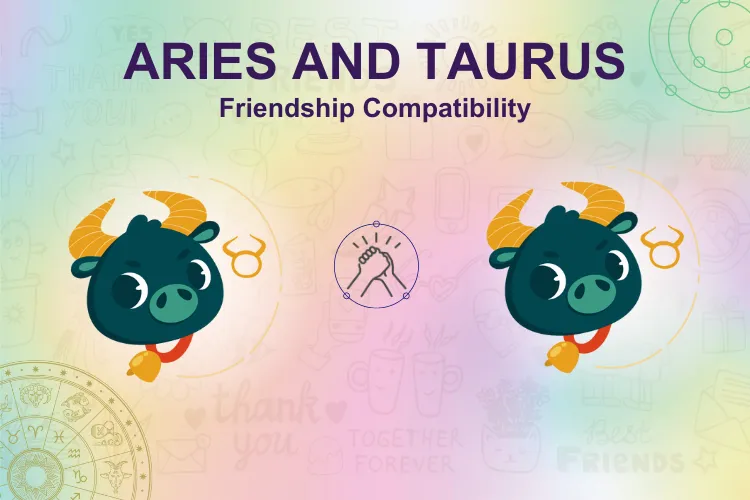 Taurus and Taurus Friendship
