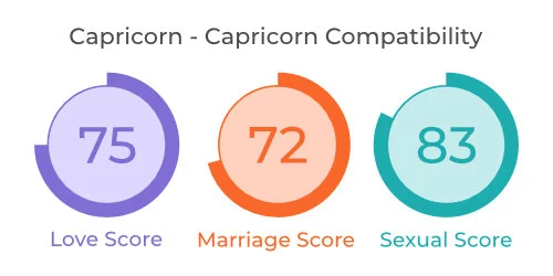 Capricorn - Capricorn Comaptibility