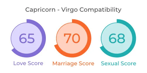 Capricorn - Virgo Comaptibility