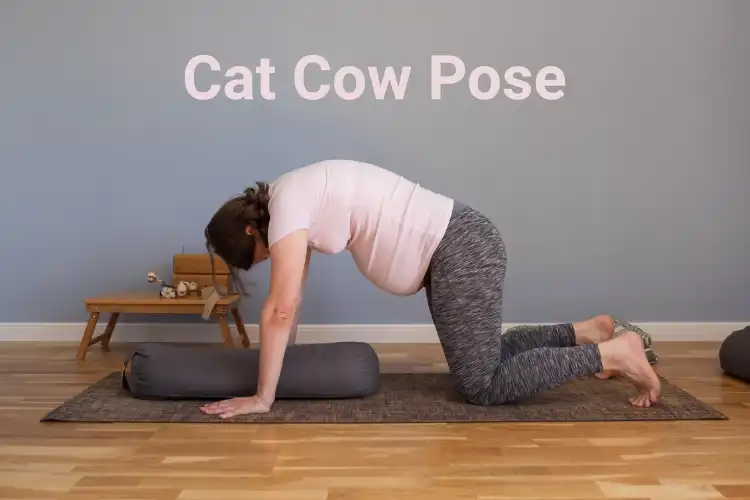 Little girl making yoga cat or cow pose being in neutral flat-back position  Stock Photo - Alamy