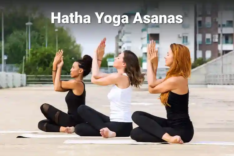 Hatha Yoga Teacher Training Certification