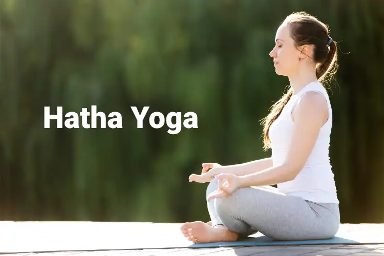 Traditional Hatha Yoga - Drishti Yogshala