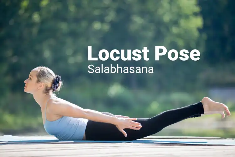 How to Do Locust Pose in Yoga – EverydayYoga.com