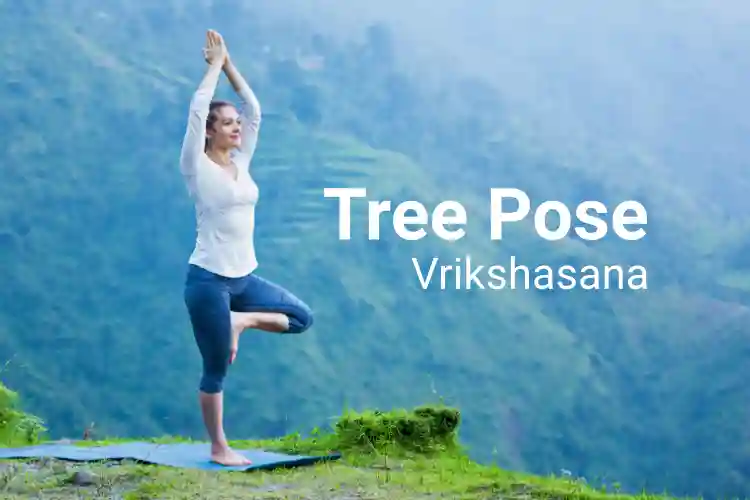 Black Vrikshasana Tree Yoga Pose Outline Icon - HEBSTREITS