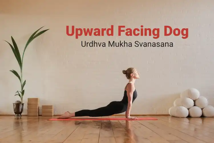 Upward-Facing Dog Pose: ऊर्ध्वमुख श्वानासन करने से सेहत को होते हैं ये 7  फायदे, जानें इसे करने की विधि | urdhva mukha shvanasana steps and benefits  of upward facing dog pose in