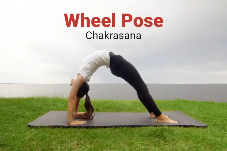 Dhanurasana (Bow Pose) | iHanuman